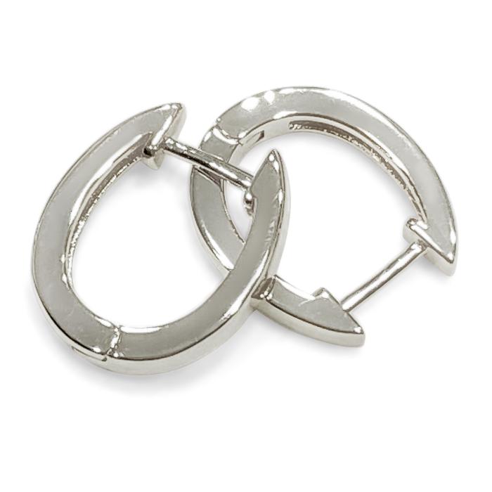 Horseshoe Hinge Earrings
