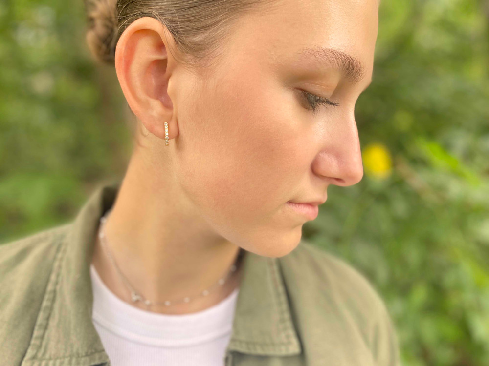 Horseshoe Hinge Earrings CZ Stones