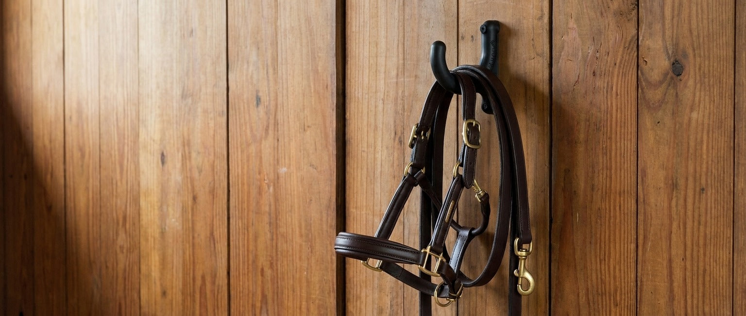 Black Flex-Hook on a polished wood stall wall holding a padded leather halter and lead rope