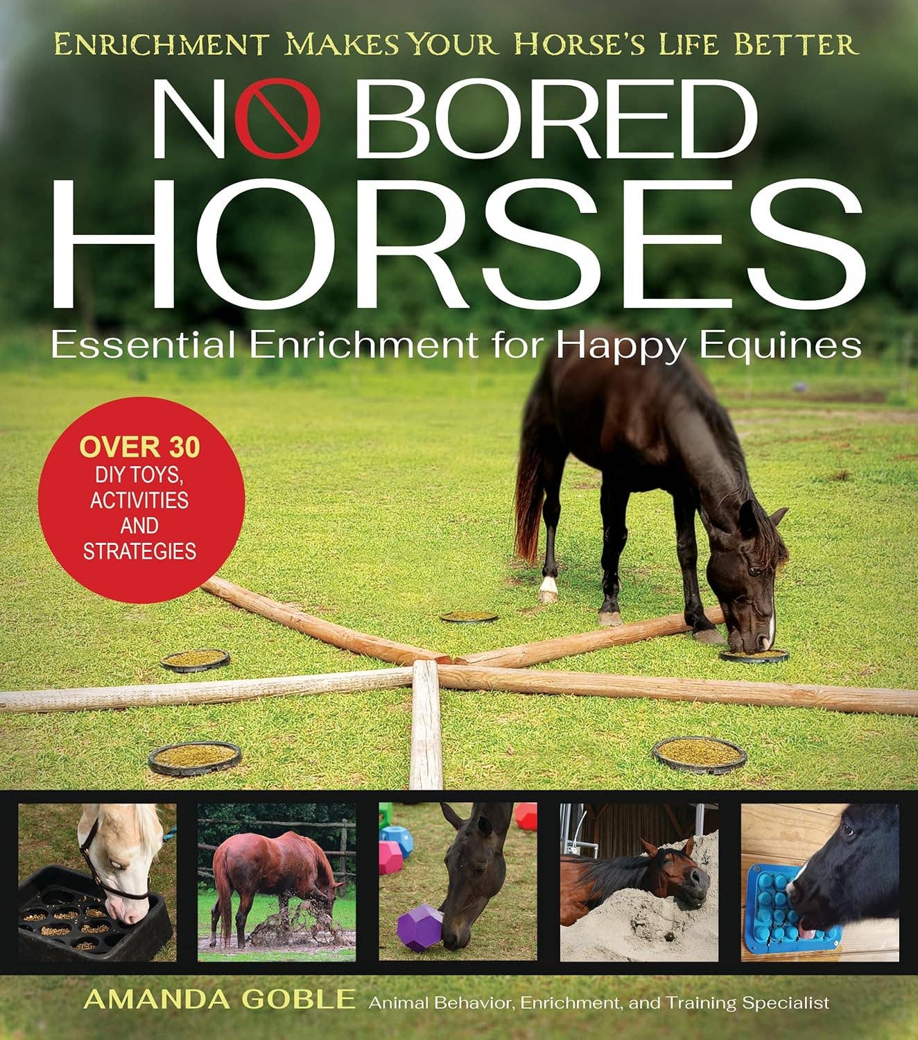 No Bored Horses, Essential Enrichment