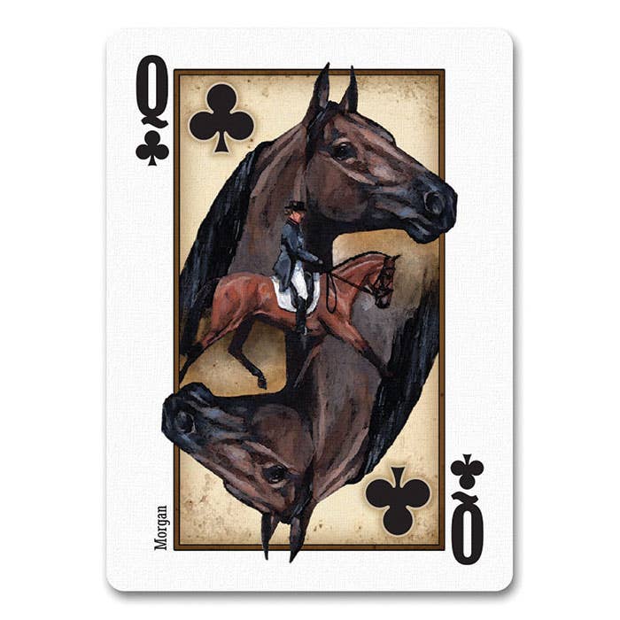 Horse Playing Cards, Countertop Display of 12