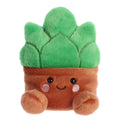 5" Plush Gigi Succulent Brown Pot Palm Pal