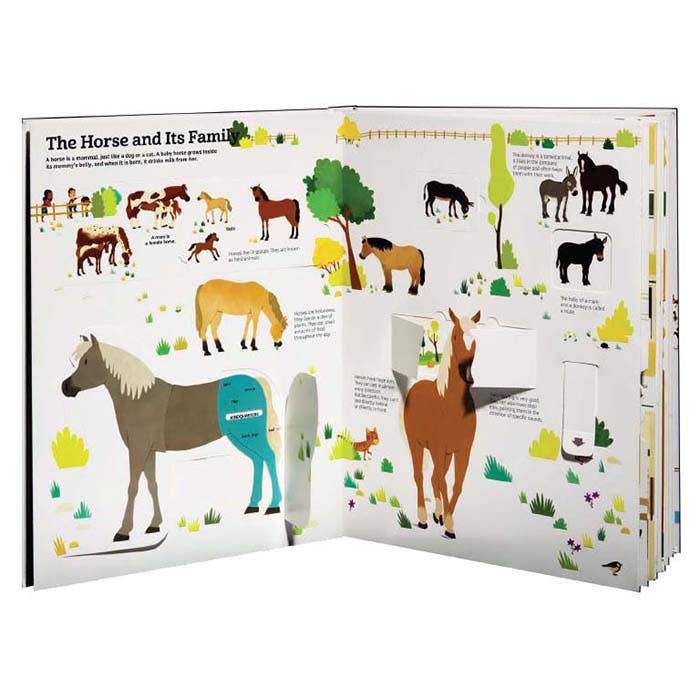 The Ultimate Book of Horses