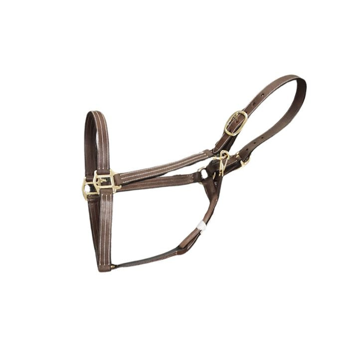 Charlie Premium Triple Stitched 1" Halter, Brown, Cob