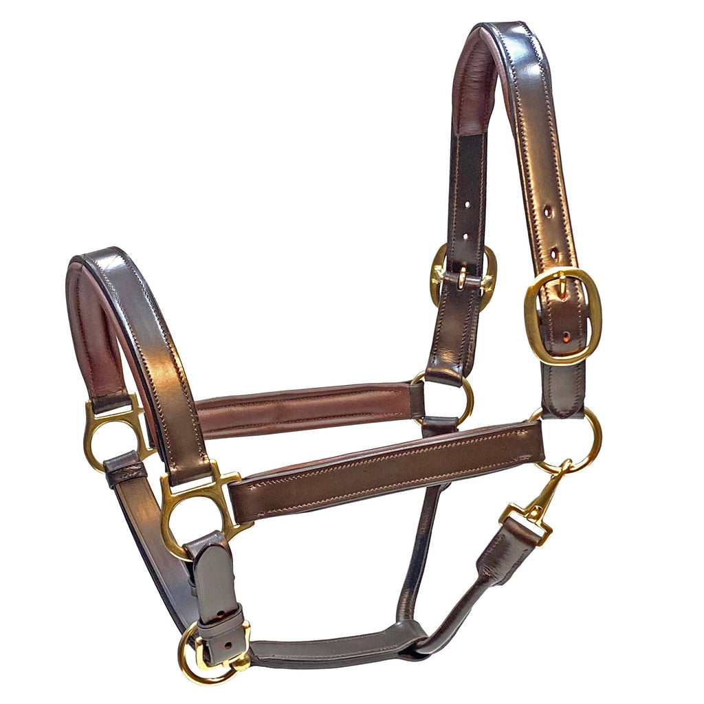 Blakely Premium Padded 1" Halter, Brown, Cob