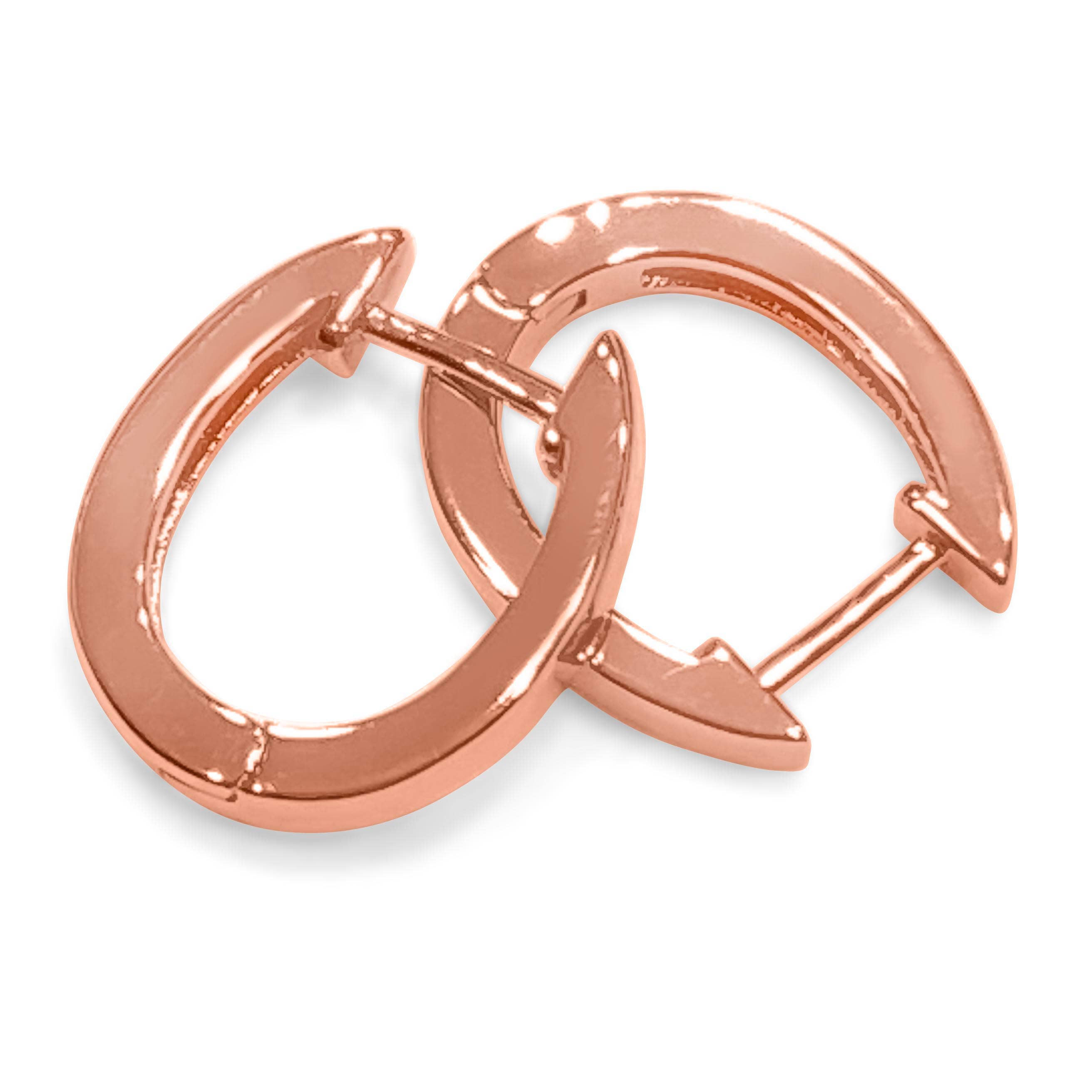 Horseshoe Hinge Earrings, Gold Plated