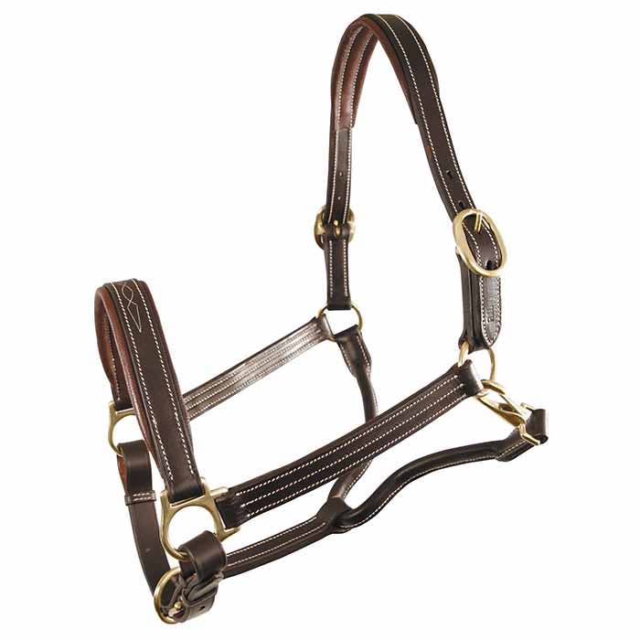 Jamestown Prem Padded 1" Halter, Brn - Cob