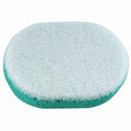 Sponge, Large Scrub