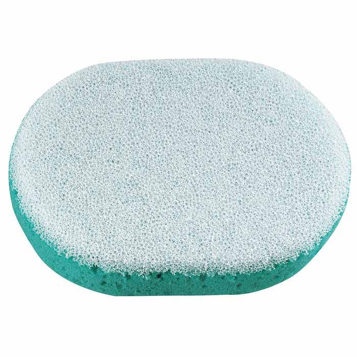 Sponge, Large Scrub