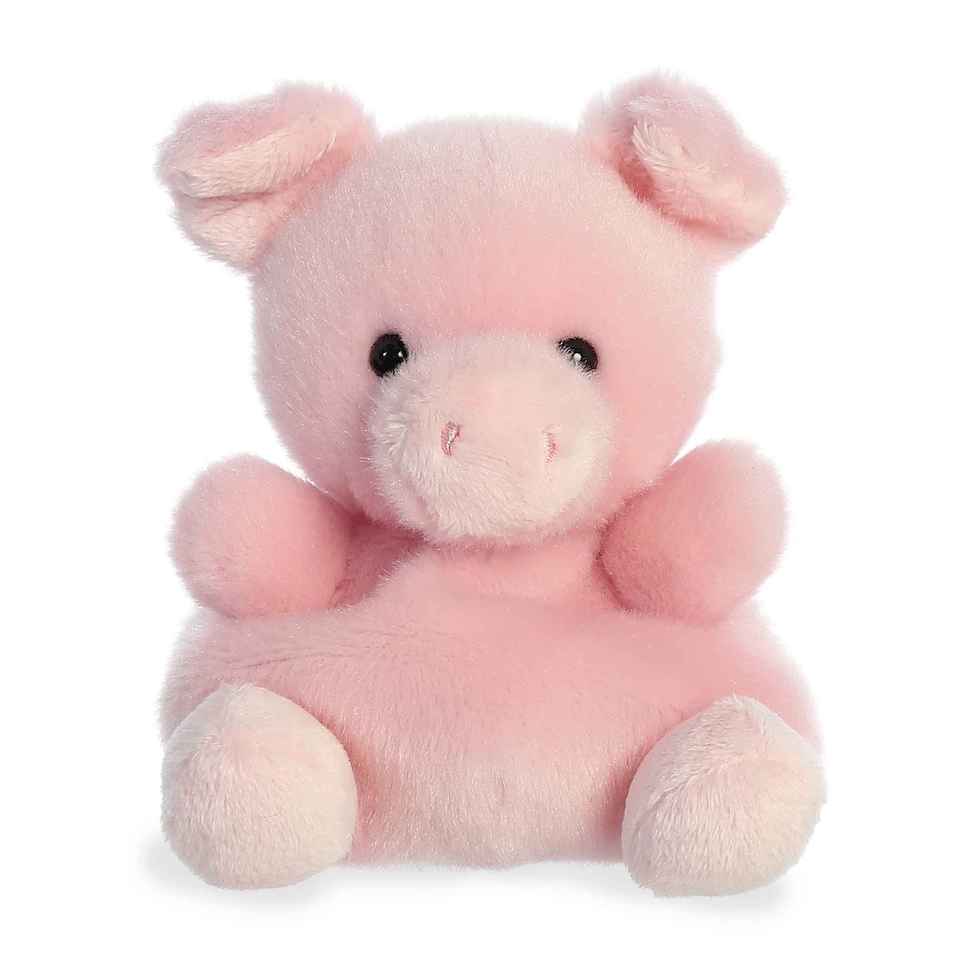 5" Plush Wizard Pig Palm Pal
