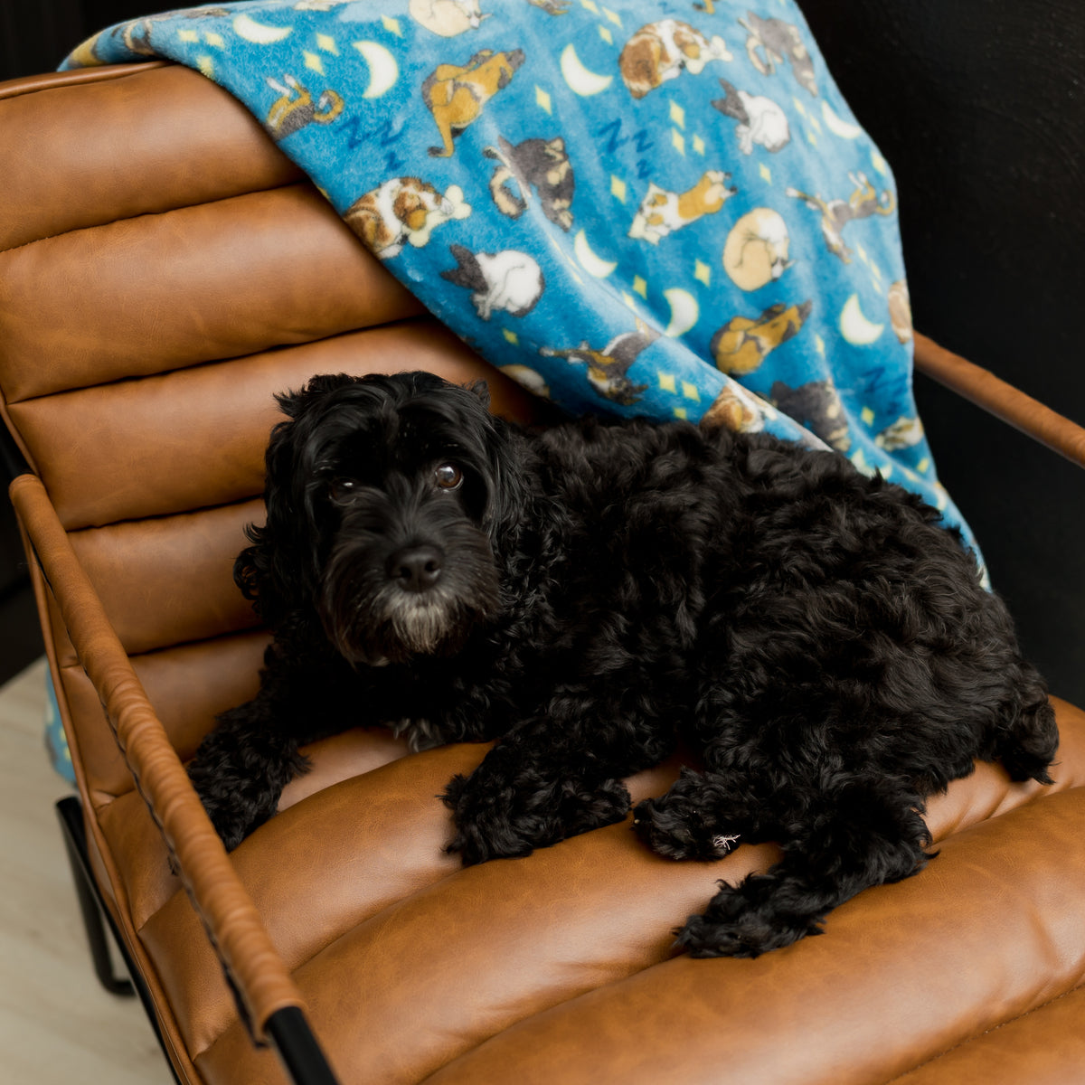 Sleeping Dogs Throw Blanket 60" x 72", Teal