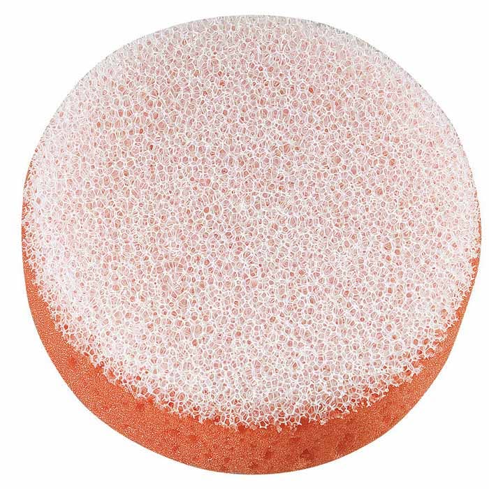 Sponge, Small Scrub