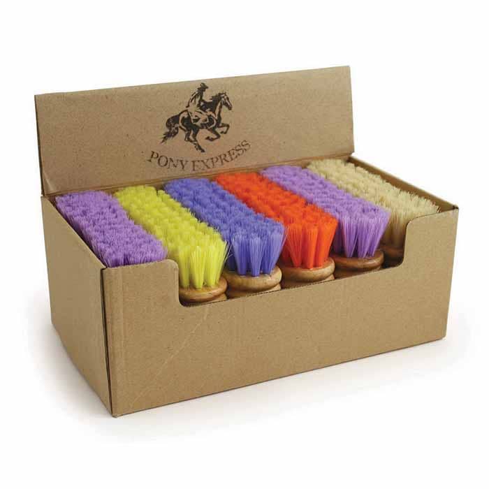 4.5" Assorted Face Brush, Soft Bristles - Display of 12