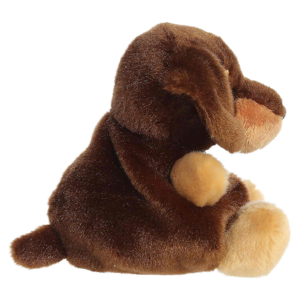 5" Plush Houdini Dachshund Palm Pal