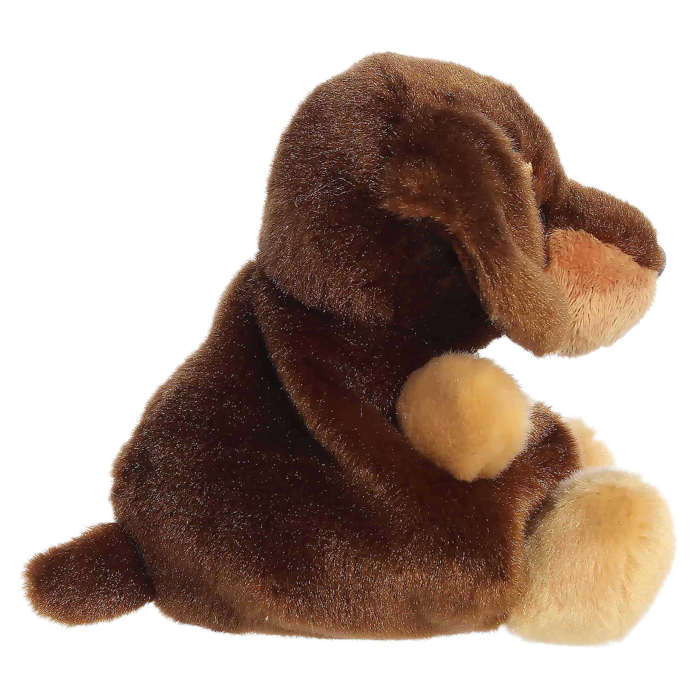 5" Plush Houdini Dachshund Palm Pal