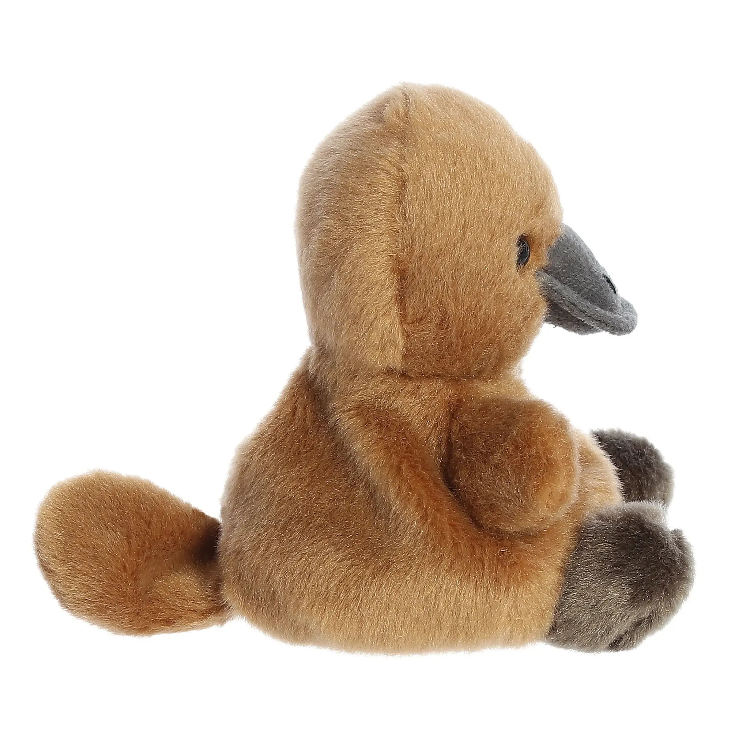 5" Plush Patty Platypus Palm Pals